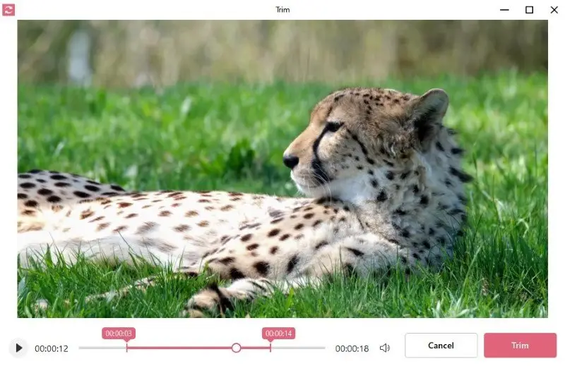 Przytnij wideo MP4 przed konwersją do AVI w Icecream Video Converter