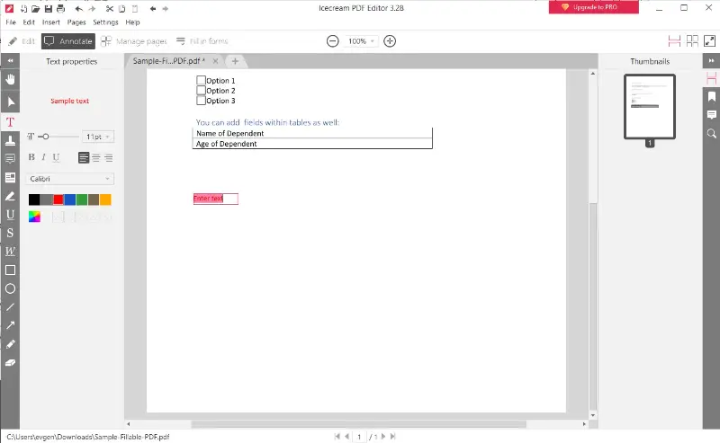 Editing PDF with Icecream PDF Editor