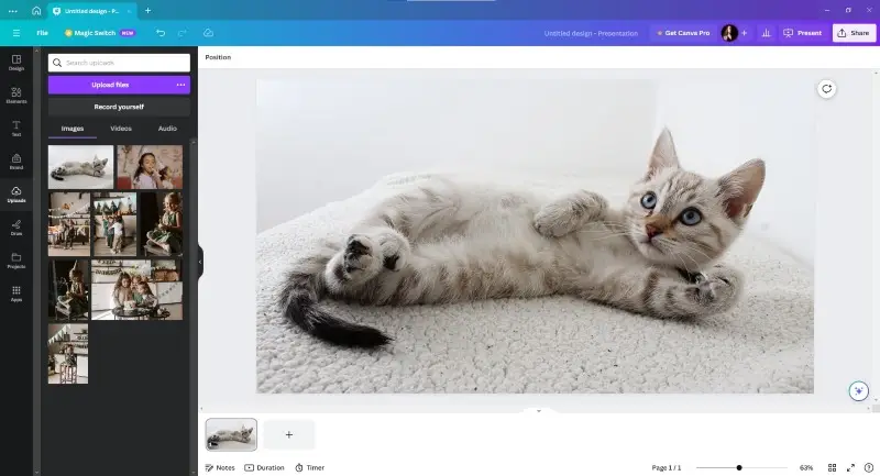 Canva - best free photo editor for PC and online