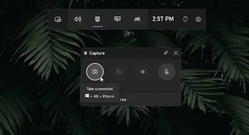 Screenshot option Screenshot option