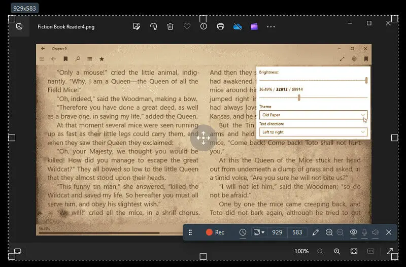Start recording and making an explainer video in Icecream Screen Recorder