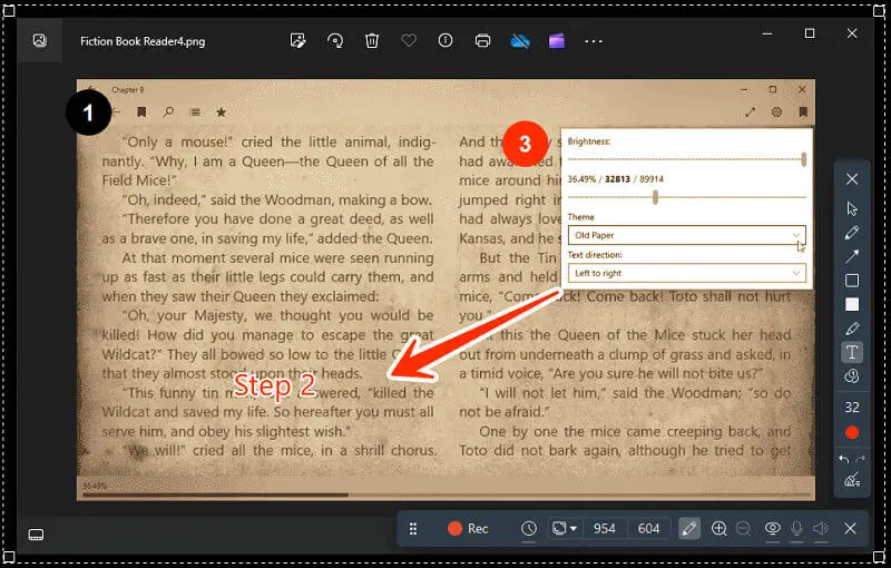 Annotate while you create explainer video in Icecream Screen Recorder