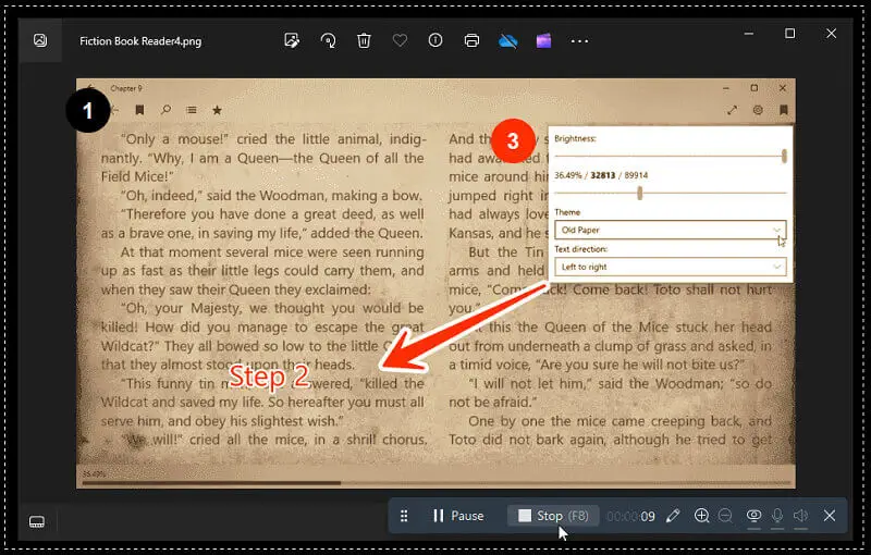 How to stop recording explainer video in Icecream Screen Recorder
