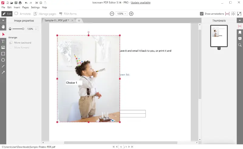 Insert photo logo into a PDF in Icecream PDF Editor on Windows