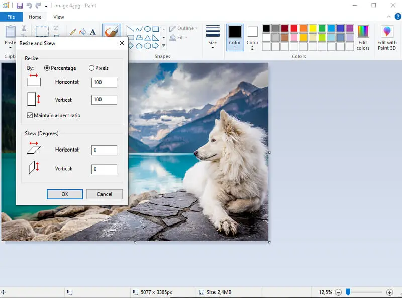 Paint interface - how to scale an image