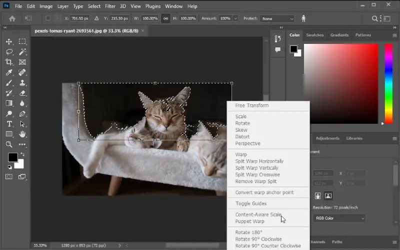 Adobe Photoshop - professional photo editor for PC