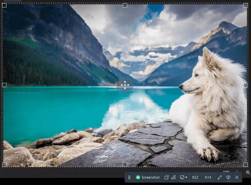 The process of making a screenshot in Icecream Screen Recorder
