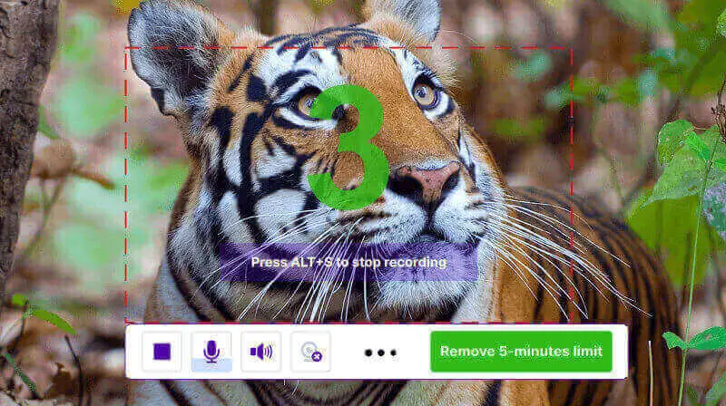 Screen recording of YouTube videos