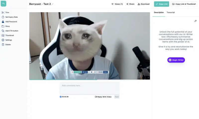 Web camera recording software Berrycast