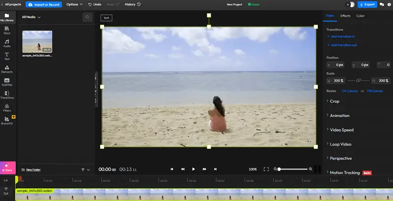 Online WebM Editor