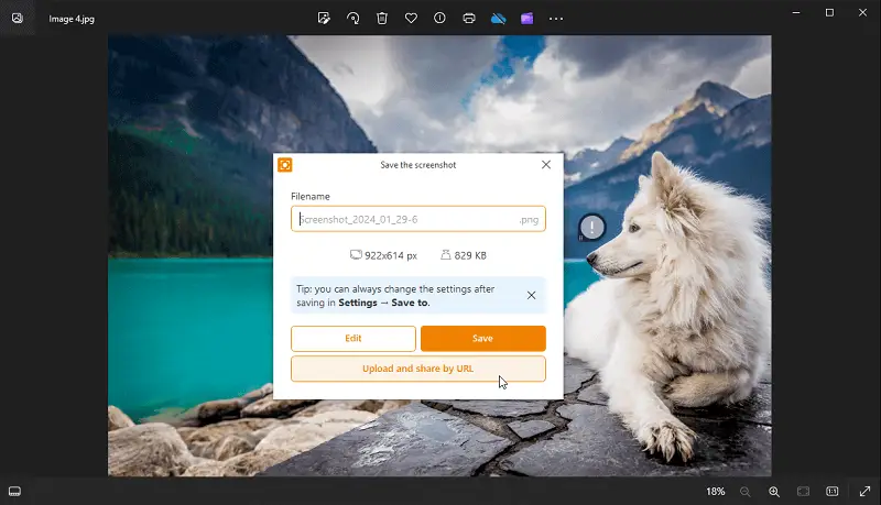 Sharing the screenshot by URL in Icecream Screen Recorder