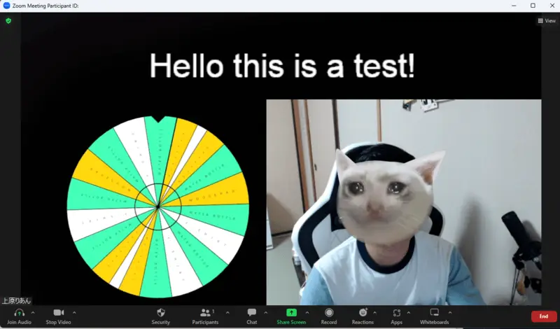 Webcam software integration to apps